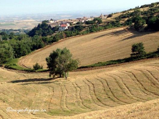 Orsara di Puglia landscape