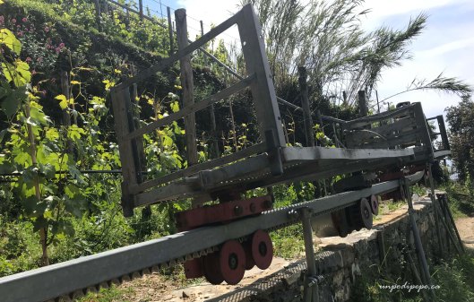Vernazza machinery for transporting grapes